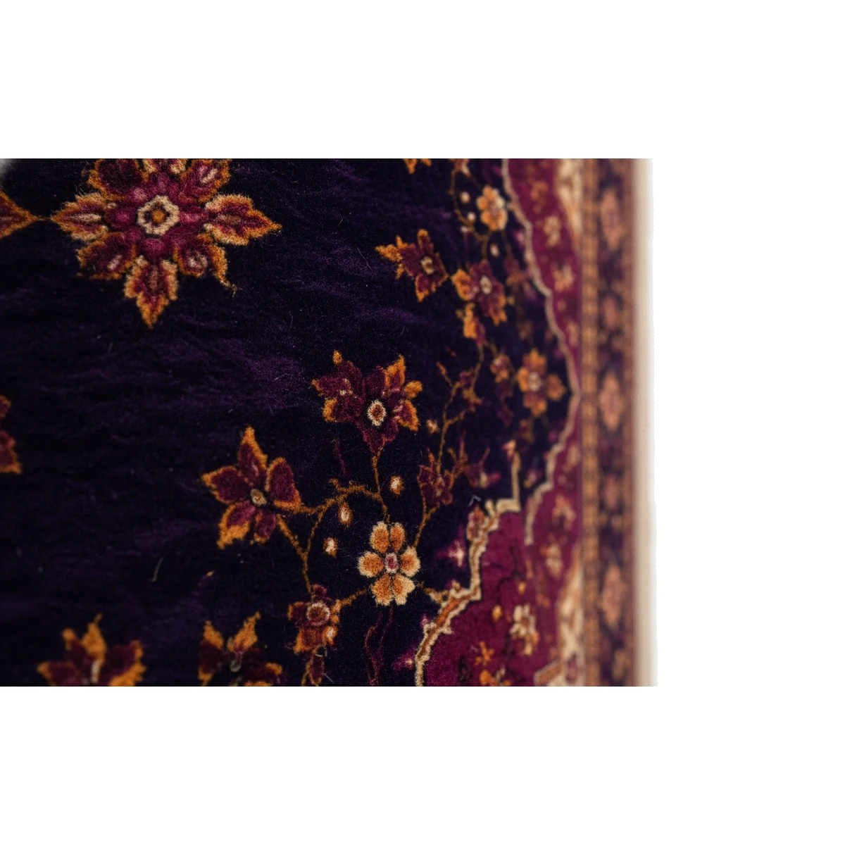 1ed7ef53-6894-49ed-a060-5fffeb281004-1.webp